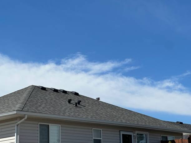  Maunawili, HI Roofing Pros